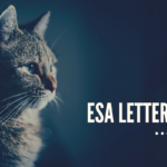 Get Emotional Support Animal Letters for dogs, cats, and more- Greensboro, NC