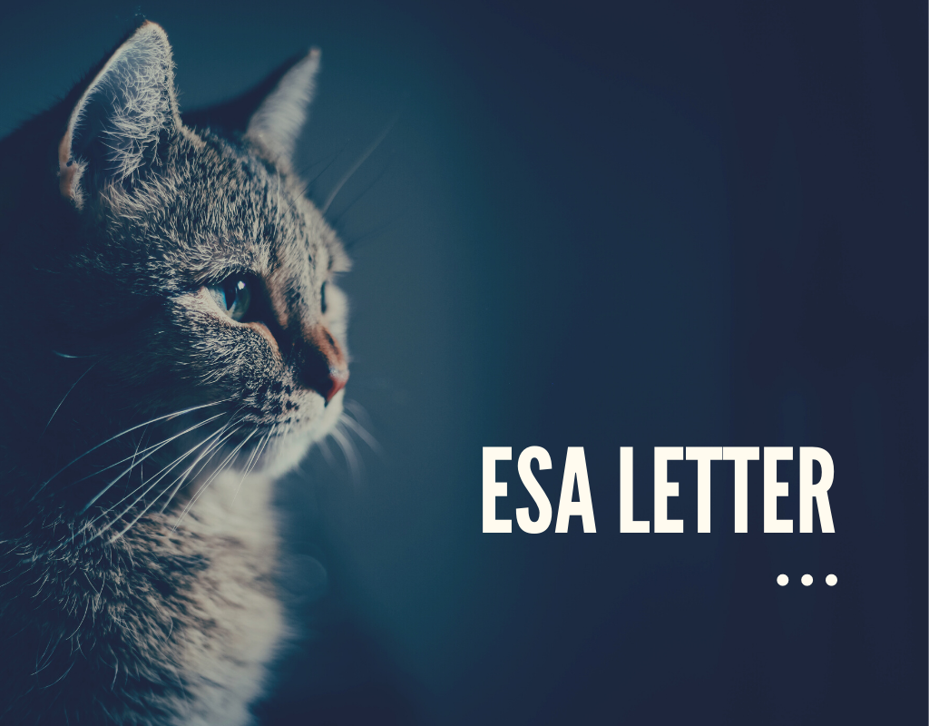 You are currently viewing ESA Letter
