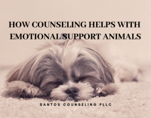 Read more about the article How Counseling Can Help With Emotional Support Animal